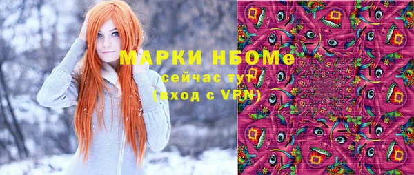хмурый Абаза