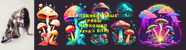 стаф Абинск