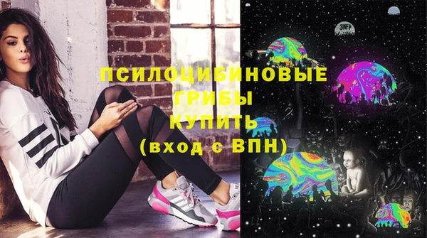 винт Алексин