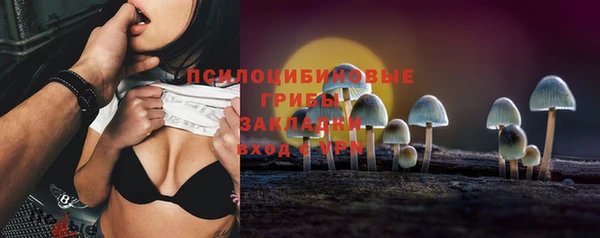 хмурый Абаза