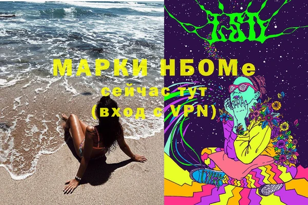стаф Абинск