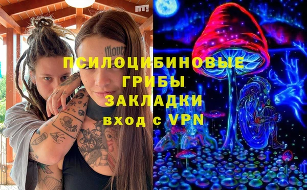 винт Алексин