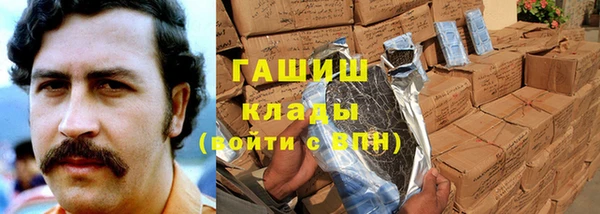 хмурый Абаза