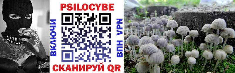площадка формула наркошоп МЕГА вход Цивильск Галлюциногенные грибы Cubensis
